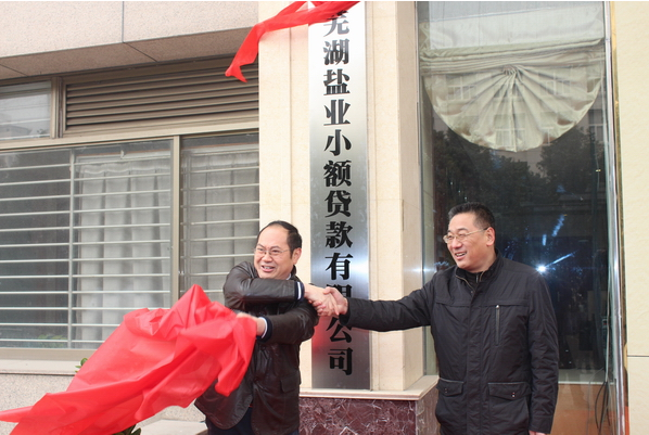 芜湖AG贵宾会小额贷款有限公司12月26日举行开业庆典