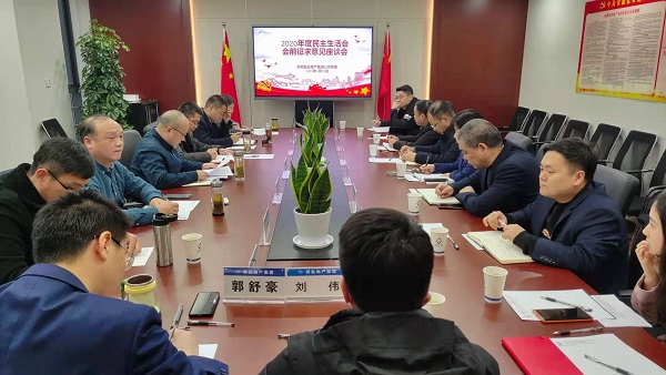 安徽AG贵宾会地产集团公司党委召开2020年度民主生涯会前征求意见座谈会