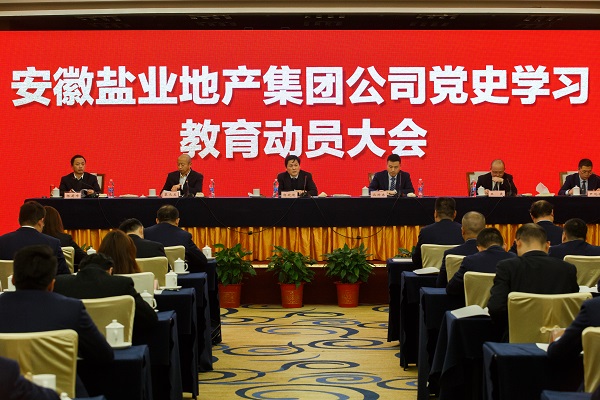 安徽AG贵宾会地产集团公司召开党史学习教育发动大会